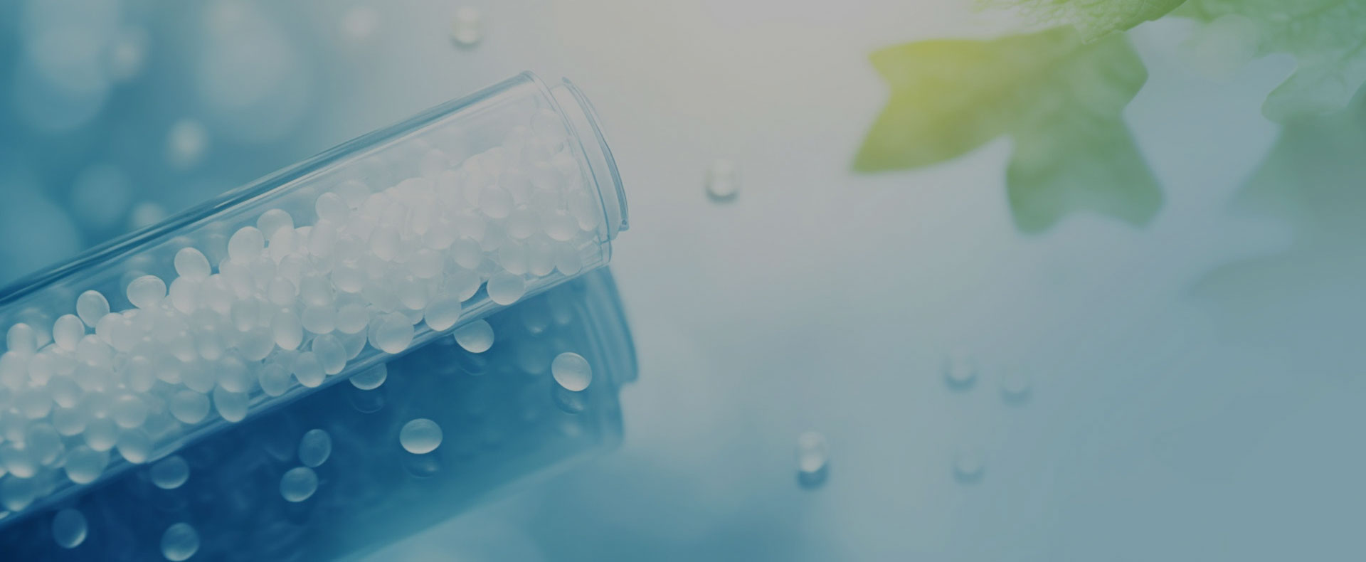 Fine chemical industry